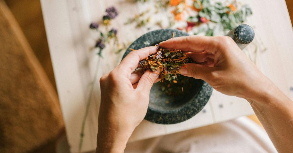 Hands breaking dried chinese herbs for immune support and seasonal illness