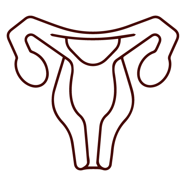 Simple line drawing of a uterus, inspired by TCM and acupuncture meridian points.