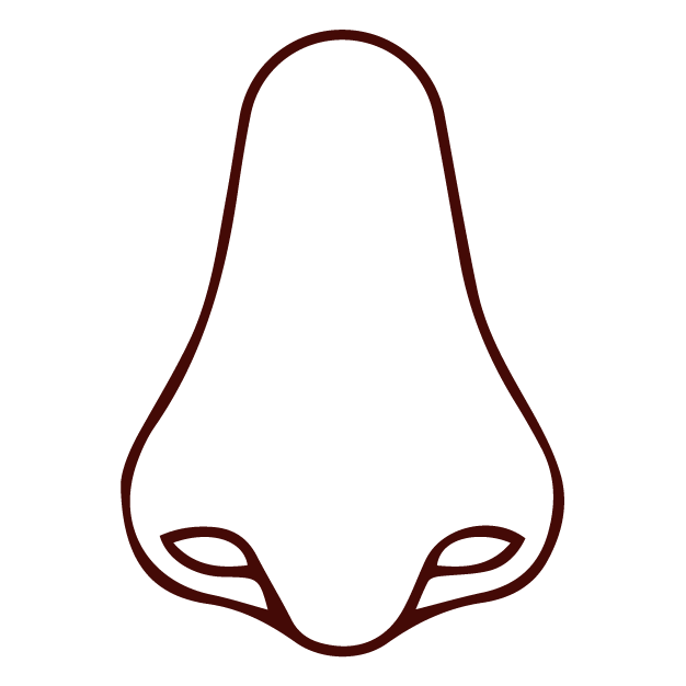 Simple line drawing of a human nose, inspired by TCM and acupuncture principles.