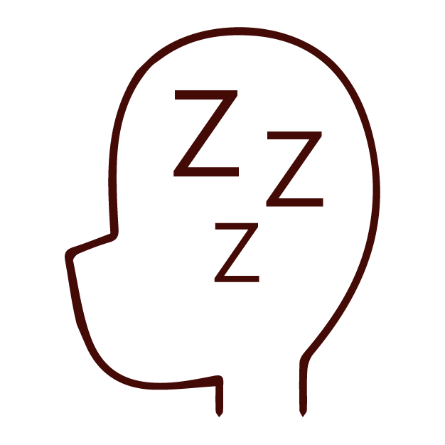 Outline of a head with three "Z" symbols, symbolizing sleep in TCM or Chinese herbal medicine.
